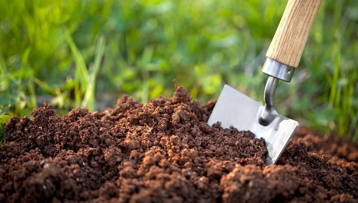 Как повысить плодородие почвы?