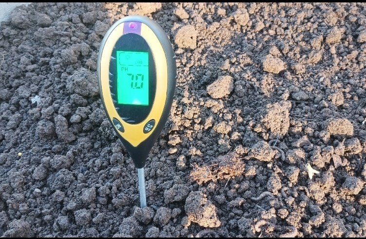 Как понизить высокий pH почвы?