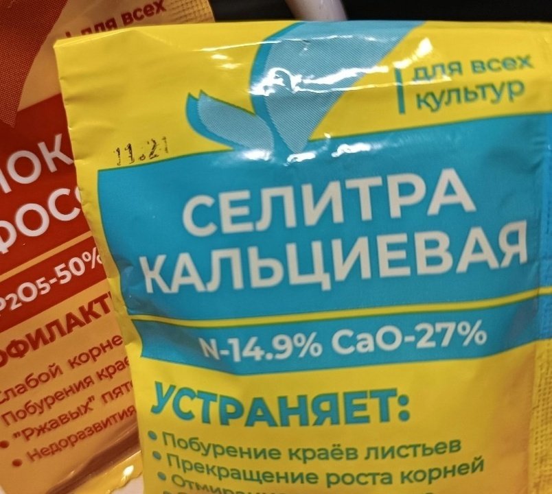 Рубрика - 