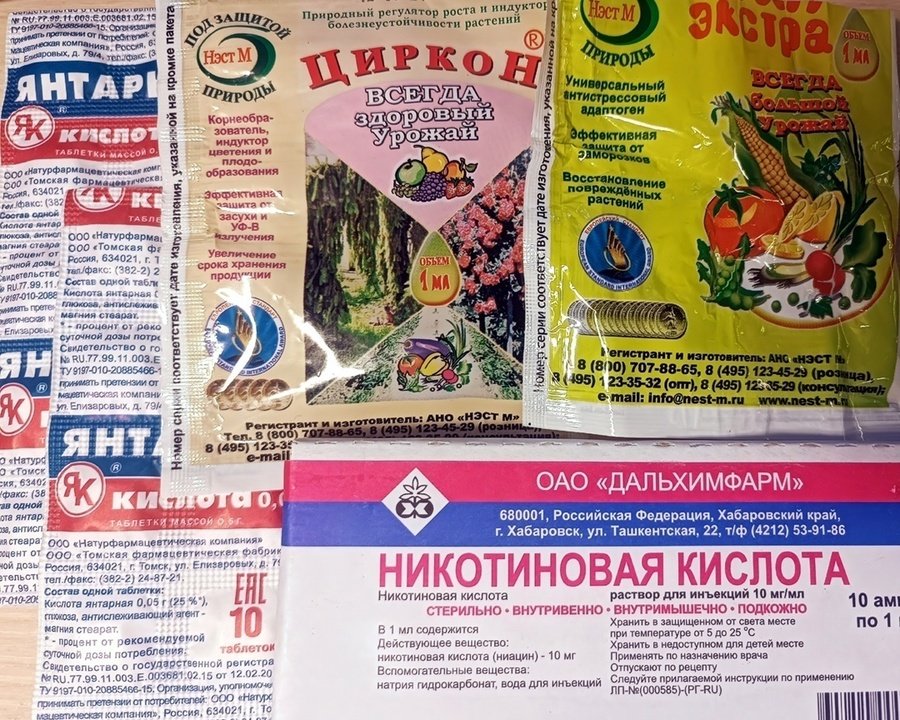 Помощь растениям после заморозков
