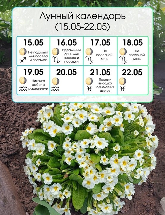 Лунный календарь с 15 по 22 мая
