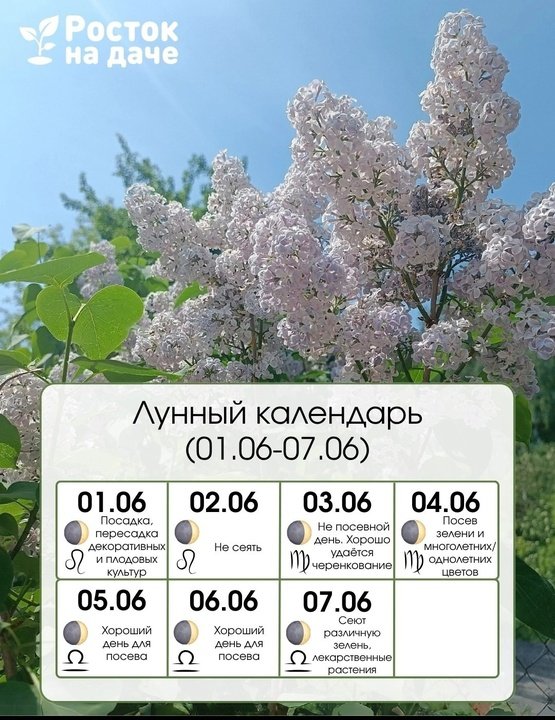Лунный календарь с 1 по 7 июня