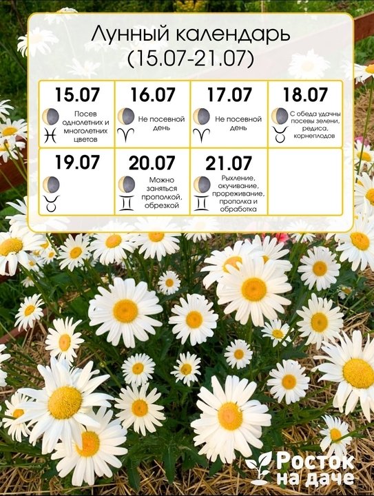 🌺ЛУННЫЙ КАЛЕНДАРЬ с 15 по 21 июля.