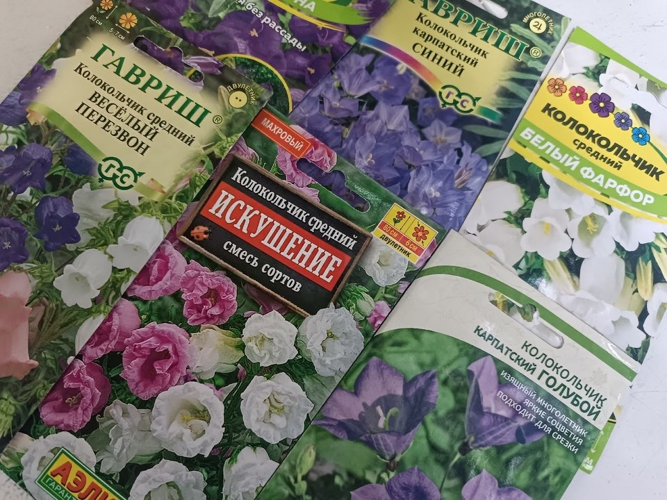 КОЛОКОЛЬЧИКИ🦋