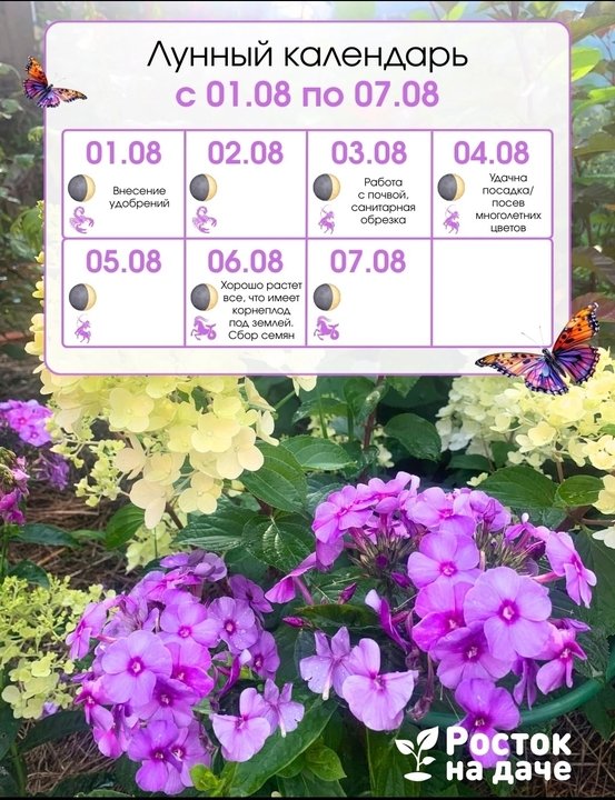 🌺ЛУННЫЙ КАЛЕНДАРЬ с 1 по 7 августа.