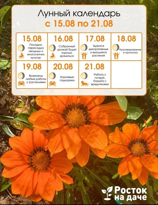 🌺ЛУННЫЙ КАЛЕНДАРЬ с 15 по 21 августа.