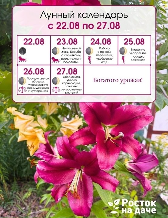 🌺ЛУННЫЙ КАЛЕНДАРЬ с 22 по 27 августа.