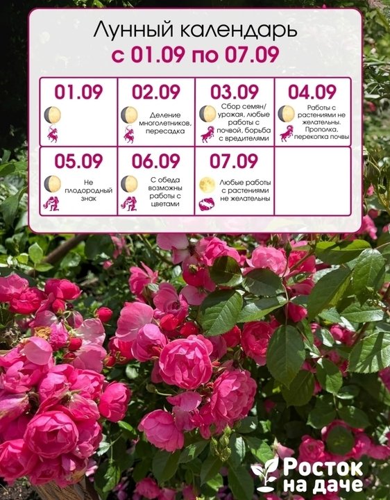 ЛУННЫЙ КАЛЕНДАРЬ с 1 по 7 сентября.