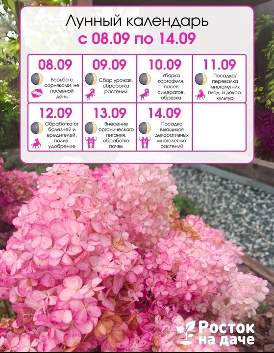 📌ЛУННЫЙ КАЛЕНДАРЬ с 8 по 14 сентября.