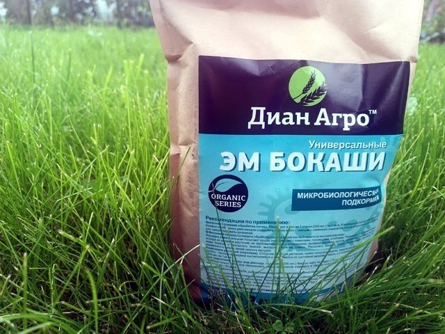 ✅БОКАШИ.