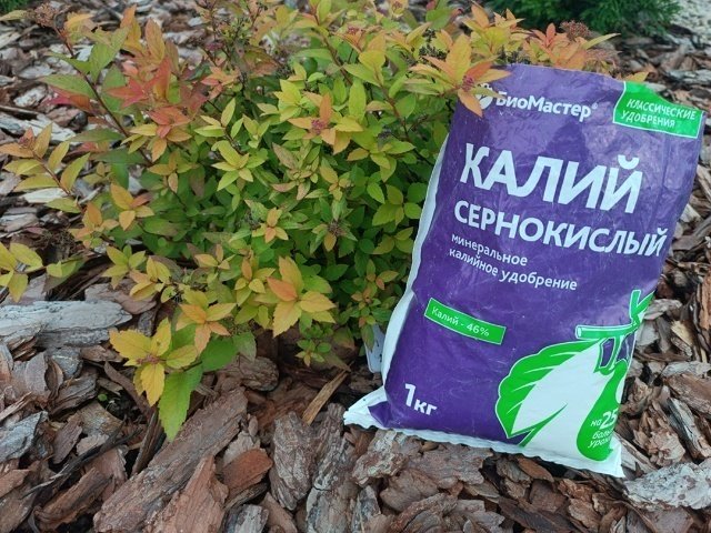 ✅СУЛЬФАТ КАЛИЯ (он же сернокислый калий).