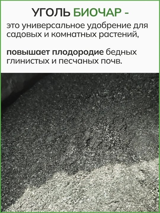 Осень - хорошее время для внесения удобрений. Какие именно удобрения вносить на зиму?