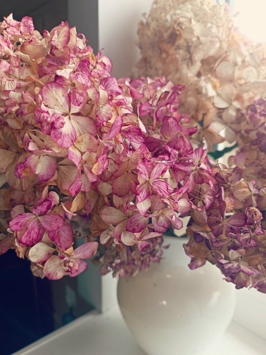 СТАБИЛИЗАЦИЯ🌸