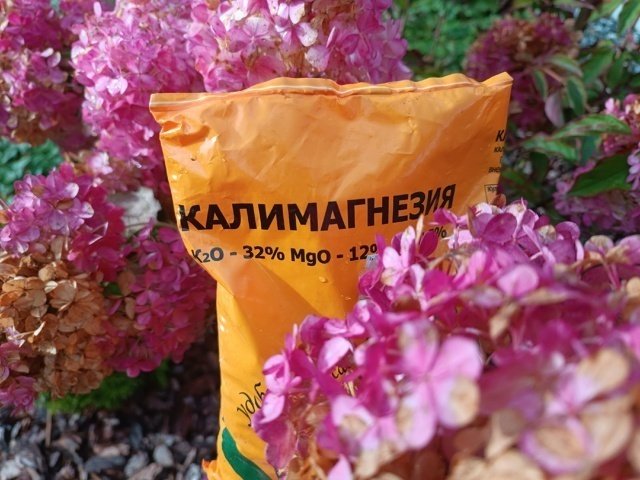 КАЛИМАГНЕЗИЯ📝