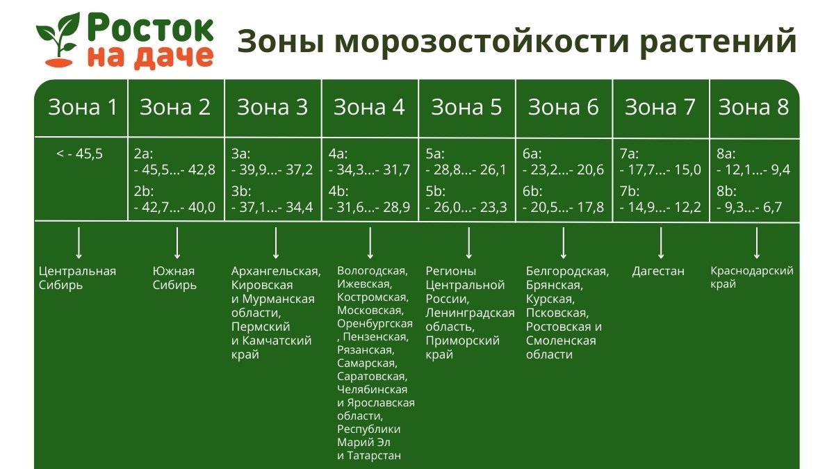 📌Температурный диапазон зон морозостойкости растений.