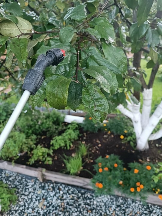 ⚡⚡БАКОВЫЕ СМЕСИ ДЛЯ ОБРАБОТКИ САДА⚡⚡