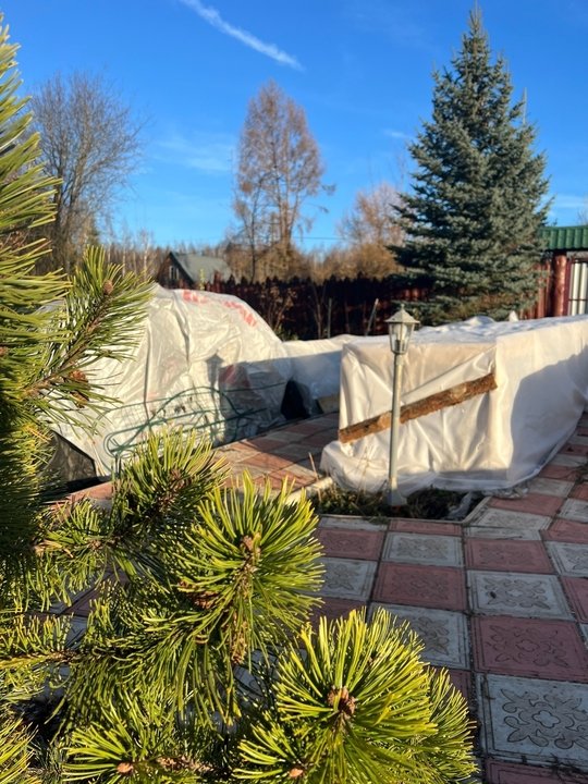 ⚡️⚡️⚡️Подготовка к зиме и укрытие роз.