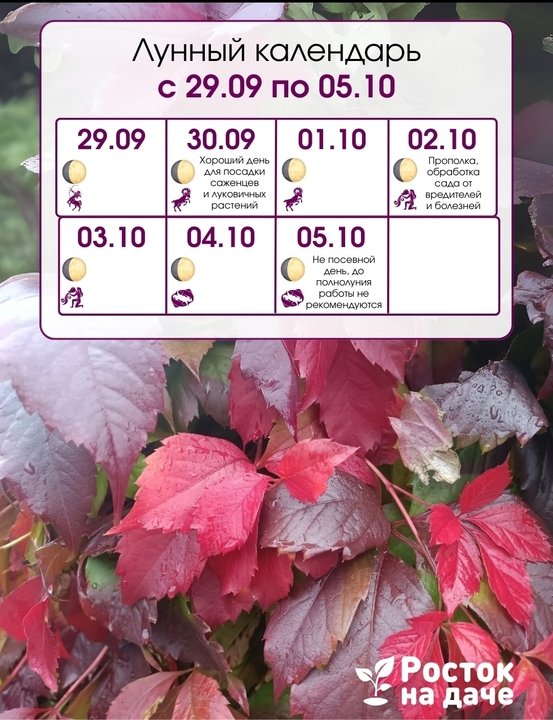📅ЛУННЫЙ КАЛЕНДАРЬ.