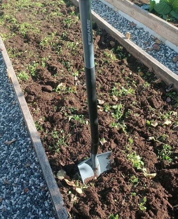 ✅ КАК УЛУЧШИТЬ ГЛИНИСТУЮ ПОЧВУ?