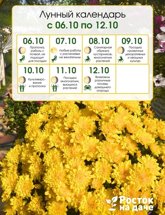 📅ЛУННЫЙ КАЛЕНДАРЬ.