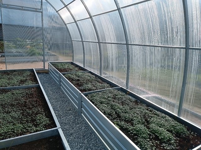 Готовим грядки под томаты 📝🍅
