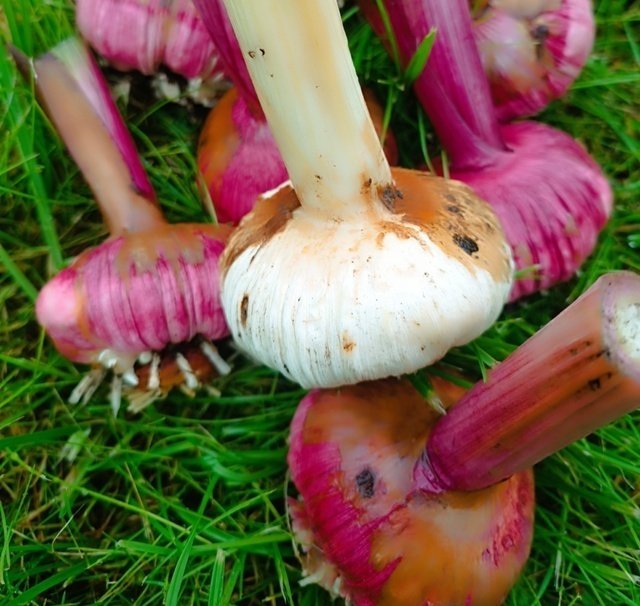 📌СОХРАНЯЕМ БЕЗ ПОТЕРЬ.