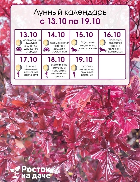 📅ЛУННЫЙ КАЛЕНДАРЬ.