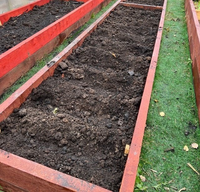 ГДЕ ЗИМУЮТ ВРЕДИТЕЛИ?🦗