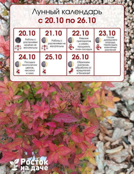 📅ЛУННЫЙ КАЛЕНДАРЬ.