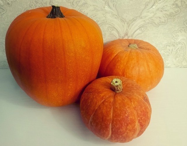 🍊ТЫКВА. Надёжные сорта👍