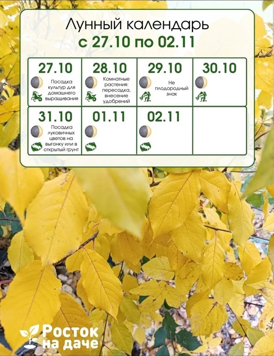 📅ЛУННЫЙ КАЛЕНДАРЬ.