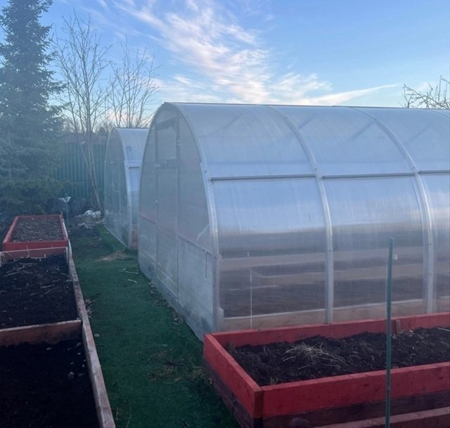 📌Обработка теплицы от белокрылки.