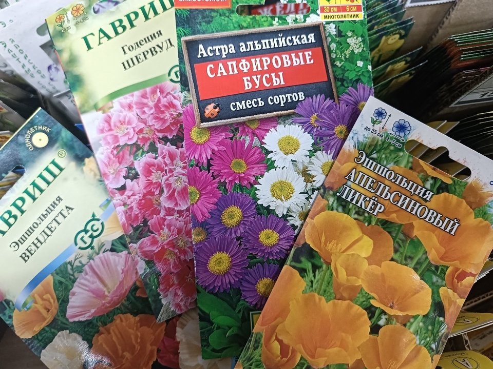 🌺 ЦВЕТЫ ДЛЯ ПОДЗИМНЕГО ПОСЕВА