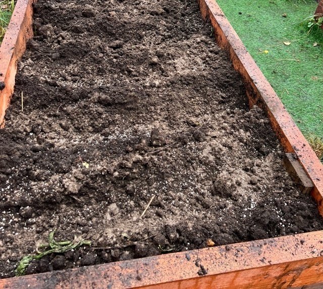 📝ЧТО ПОСЕЯТЬ В НОЯБРЕ? Подзимний посев овощных культур.