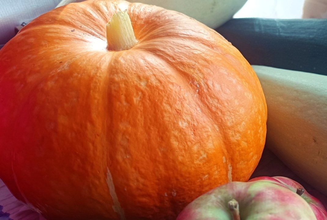 Тыква под манго🥭 🔥🔥🔥