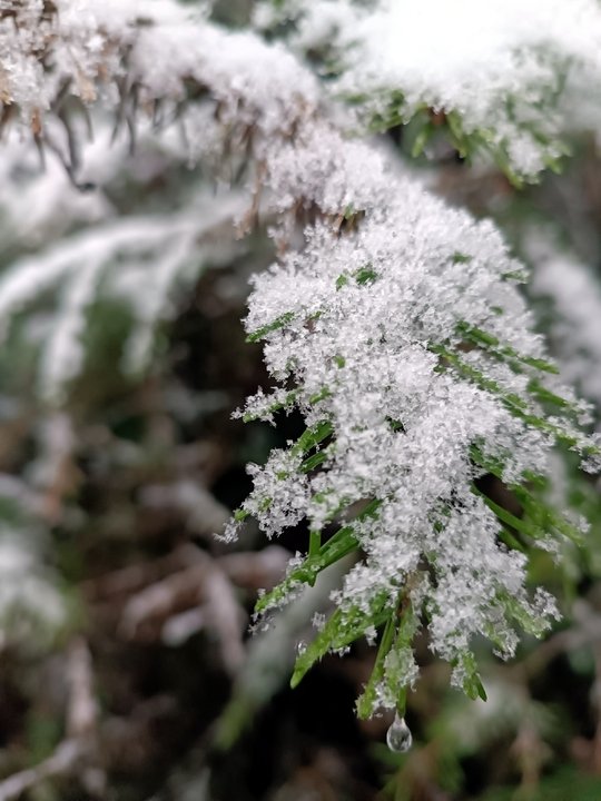 📖Рубрика «Поэзия и творчество»