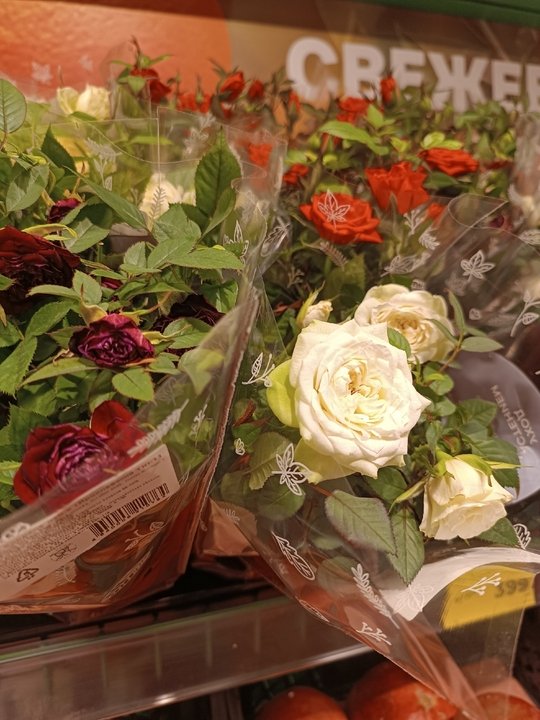 🥀РОЗА КОРДАНА Спасаем растение из магазина.