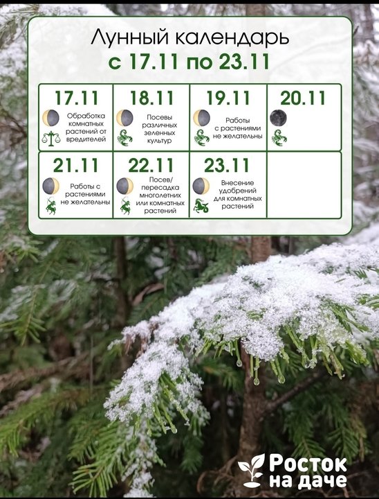 📅ЛУННЫЙ КАЛЕНДАРЬ. с 17.11.25 по 23.11.25