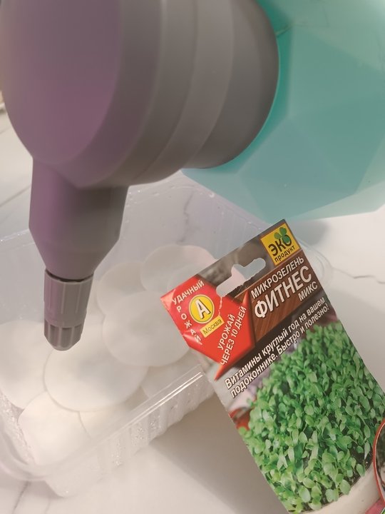 🌱Микрозелень