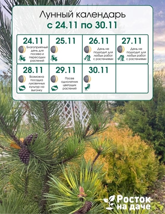 📅ЛУННЫЙ КАЛЕНДАРЬ. с 24.11.25 по 30.11.25