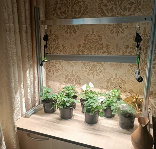 💡🌱КАК ПРАВИЛЬНО ВЫБРАТЬ ФИТОЛАМПУ?