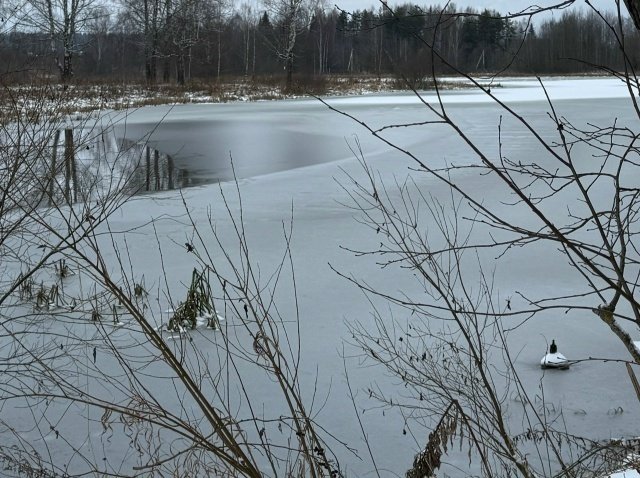 📝ОСНОВНЫЕ РАБОТЫ. Декабрь❄