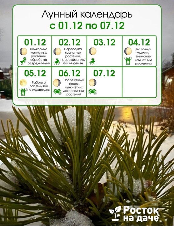 📅ЛУННЫЙ КАЛЕНДАРЬ. с 1.12.25 по 7.12.25