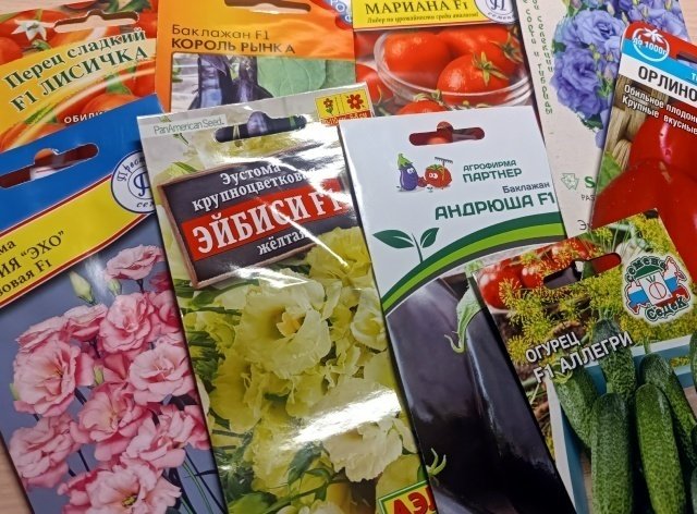 Выбираем семена📝