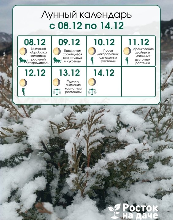 📅ЛУННЫЙ КАЛЕНДАРЬ. с 8.12.25 по 14.12.25