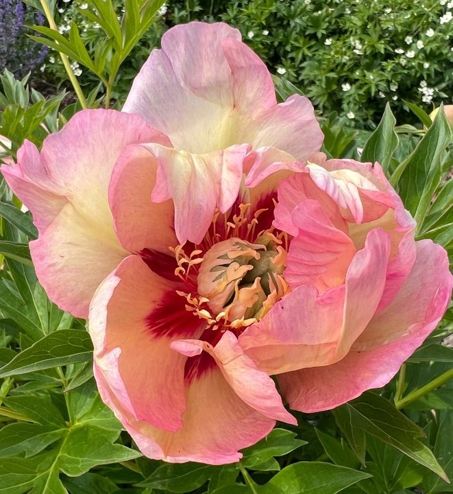 📖Рубрика «Поэзия и творчество»