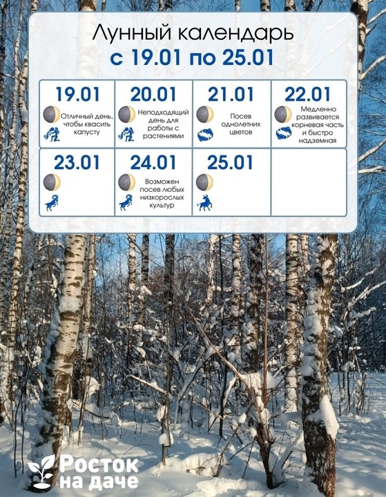 📝ЛУННЫЙ КАЛЕНДАРЬ. с 19.01.25 по 25.01.26❄ ✨