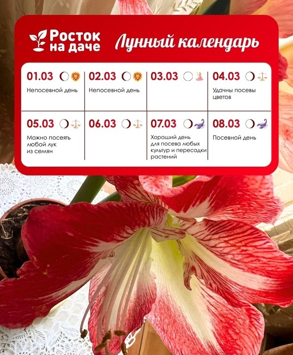 📝ЛУННЫЙ КАЛЕНДАРЬ. с 1.03.26 по 8.03.26🌸🌤