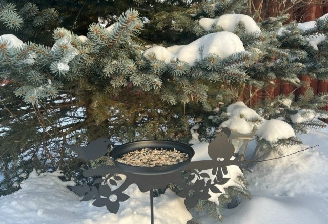 🌤Март. Основные работы в саду📝