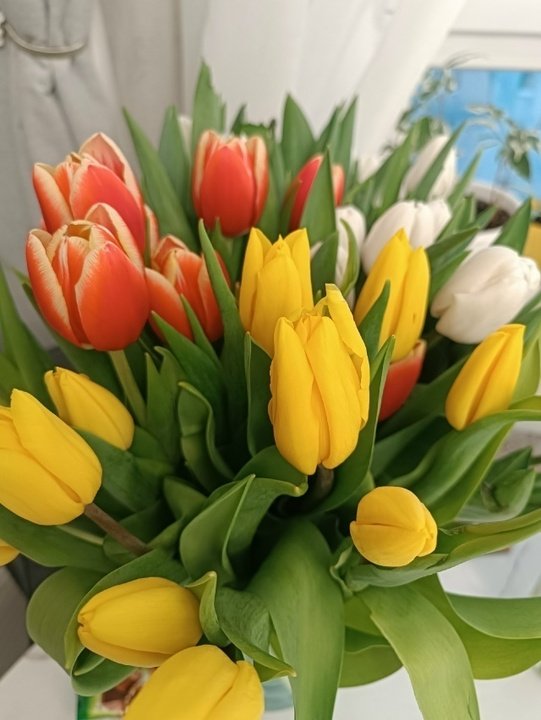 ПРОДЛЕВАЕМ ЖИЗНЬ СРЕЗАННЫМ ЦВЕТАМ💐